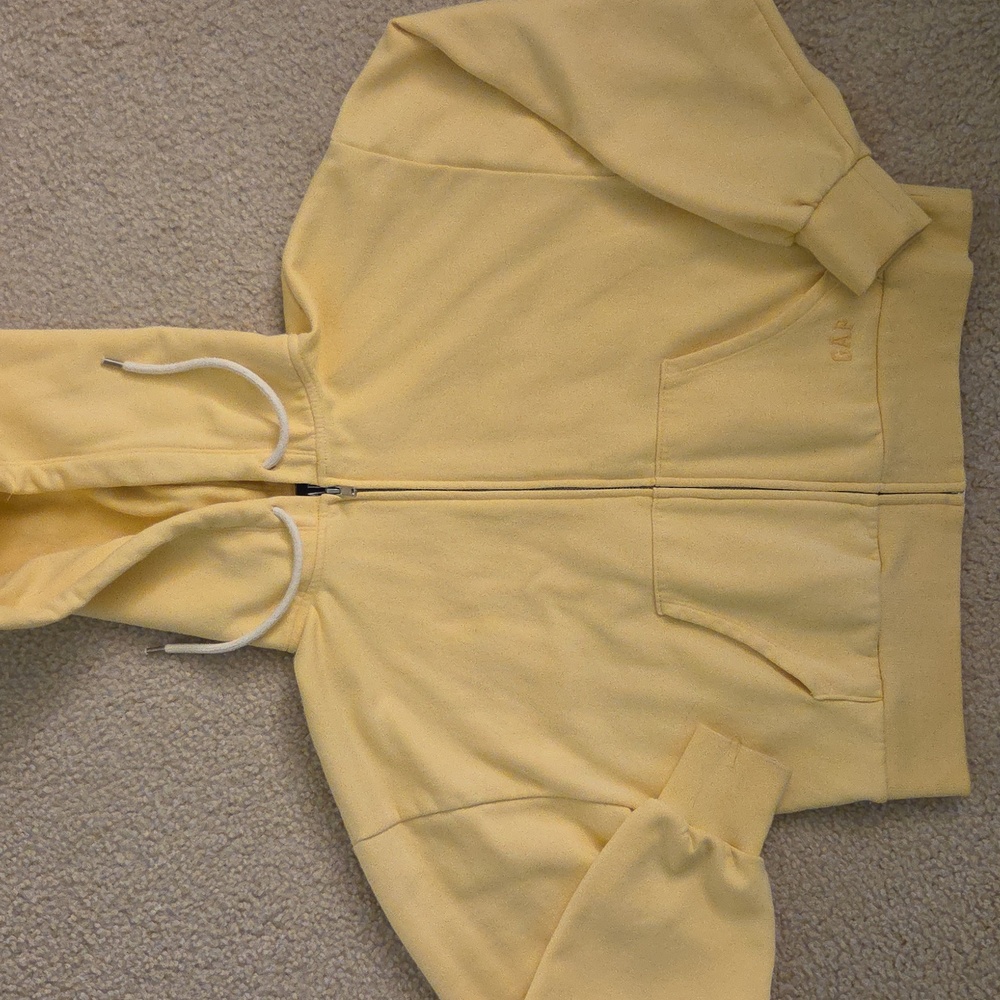 GAP Women's Small Vintage Soft Embroidered Hoodie - Picture 3 of 6